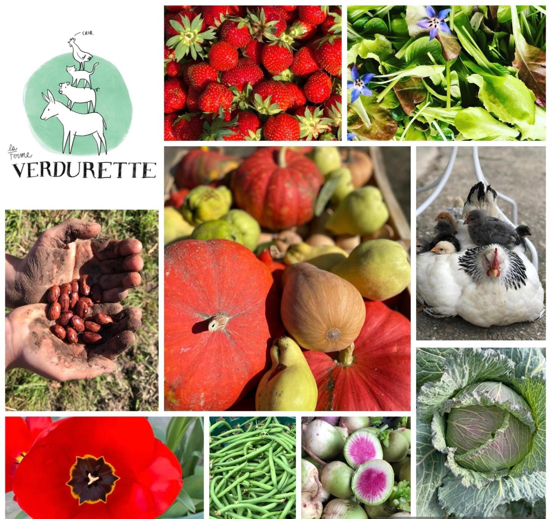 A La Ferme De Verdurette *
