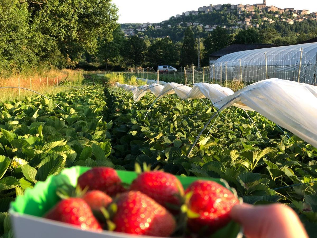 à La Ferme De Verdurette *