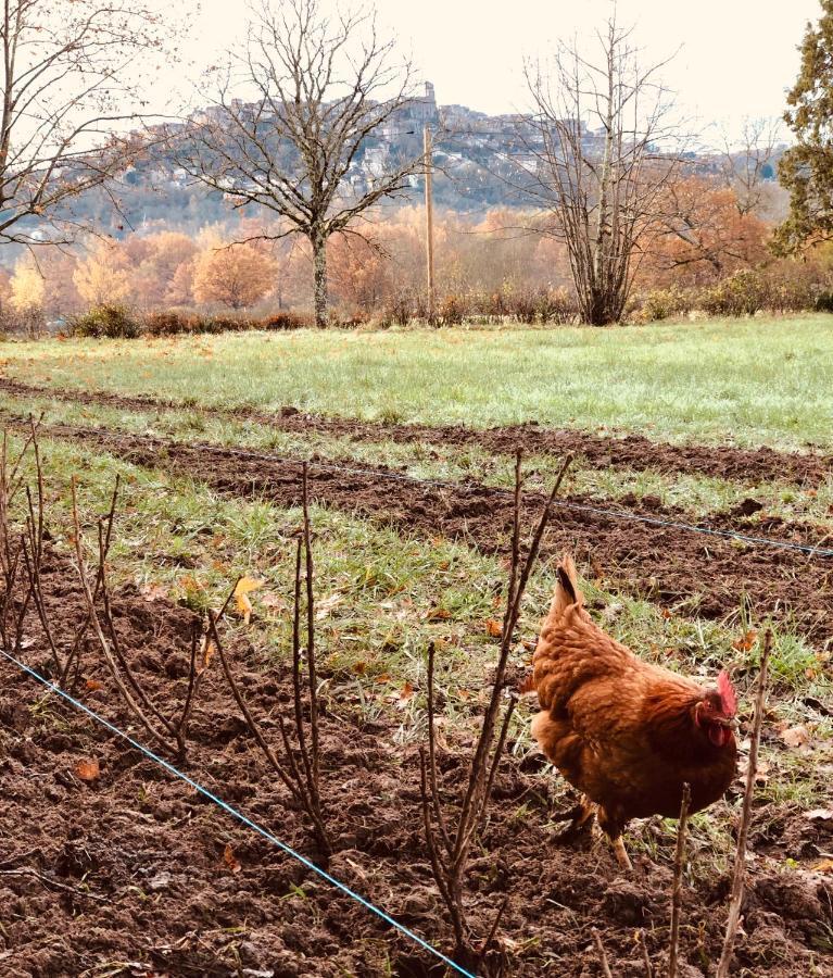 Casa vacanze à La Ferme De Verdurette Cordes-sur-Ciel